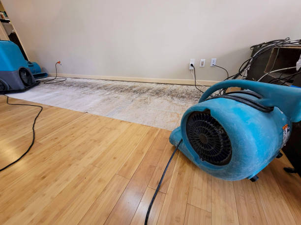 Professional Basement Flood Cleanup technician working in Uehling, NE